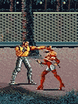 	セガ3D復刻アーカイブス