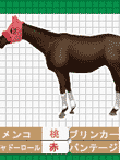 サンケイスポーツ監修 競馬力認定試験 馬検DS
