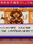 プリクラポケット 不完全女子高生マニュアル