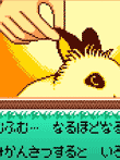 なかよしペットシリーズ2 かわいいウサギ