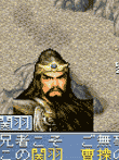  真・三國無双アドバンス 