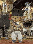 ファイナルファンタジーXI アドゥリンの魔境 拡張データディスク