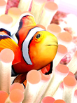 アクアゾーン ～LIFE SIMULATOR～