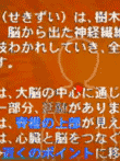 クリックメディック