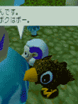 ストレイシープ