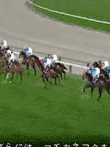 実名実況競馬ドリームクラシック