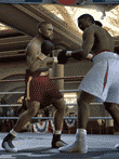  EA SPORTS FIGHT NIGHT 2004 