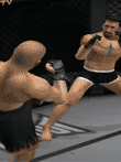 UFC2004