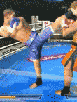  K-1 WORLD GP 2005