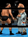 オールスター・プロレスリング
