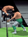 オールスター・プロレスリングII
