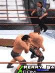 エキサイティングプロレス3