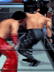 エキサイティングプロレス5