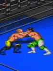 ファイヤープロレスリングZ