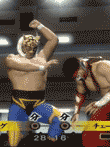   レッスルキングダム2 プロレスリング世界大戦 