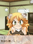 とらかぷっ! だーっしゅ!!