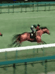  ダビつく4 ダービー馬をつくろう! 