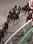  ダービー馬をつくろう!5 