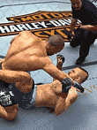 UFC 2009 Undisputed