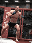 EA SPORTS 総合格闘技
