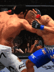 UFC アンディスピューテッド2010
