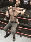 WWE2009 SmackDown vs Raw