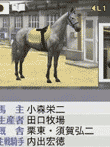 ウイニングポスト7 2013
