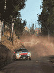 セバスチャン・ローブ ラリー EVO