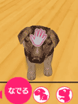 THE DOG HAPPY LIFE 〜幸せワンコ生活第1弾〜 