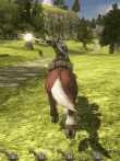 ゼルダの伝説 トワイライトプリンセス HD